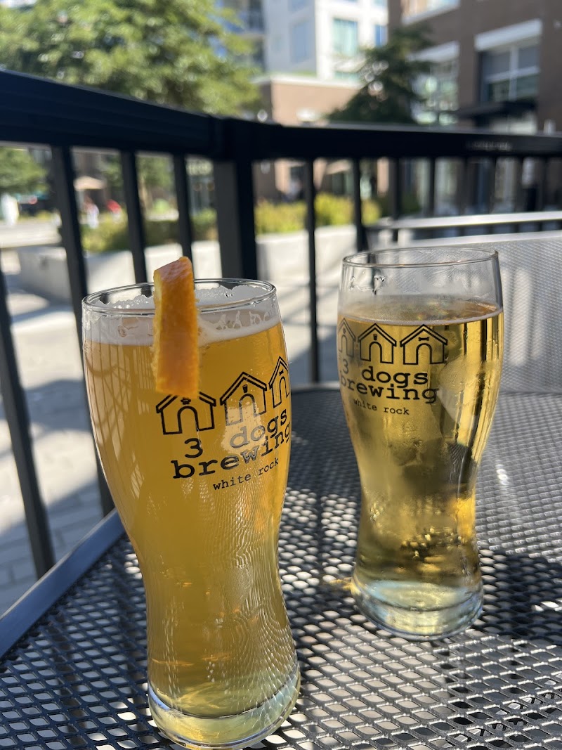 3 Dogs Brewing 4