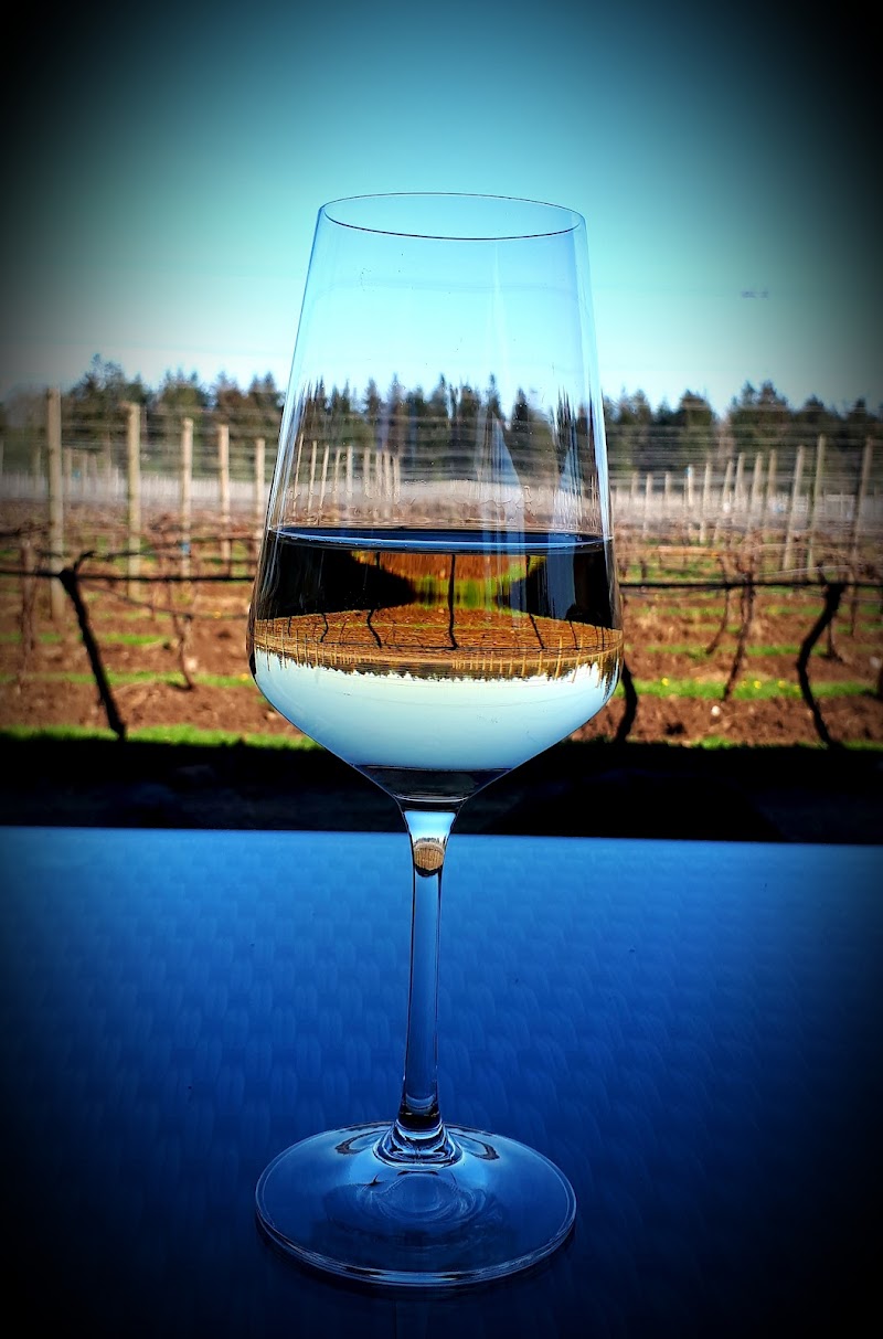 40 Knots Vineyard and Estate Winery 5