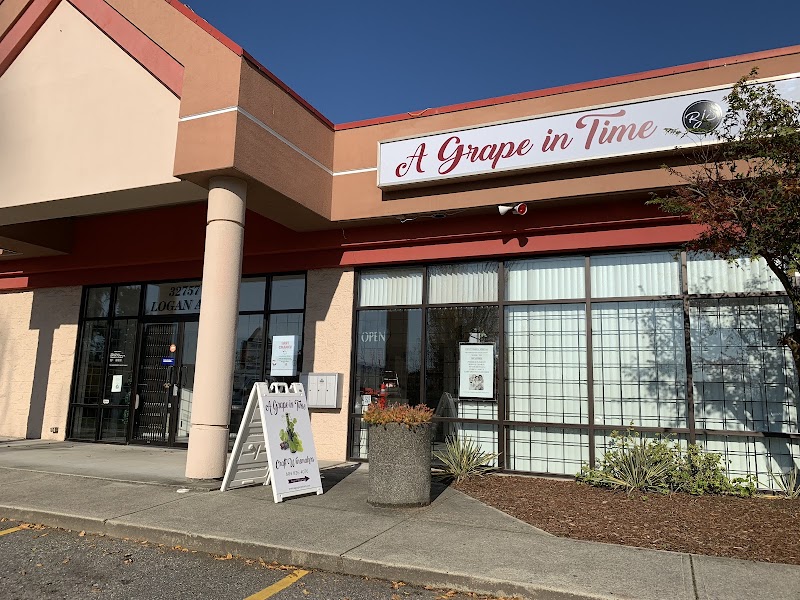 A Grape in Time Winemaking Academy