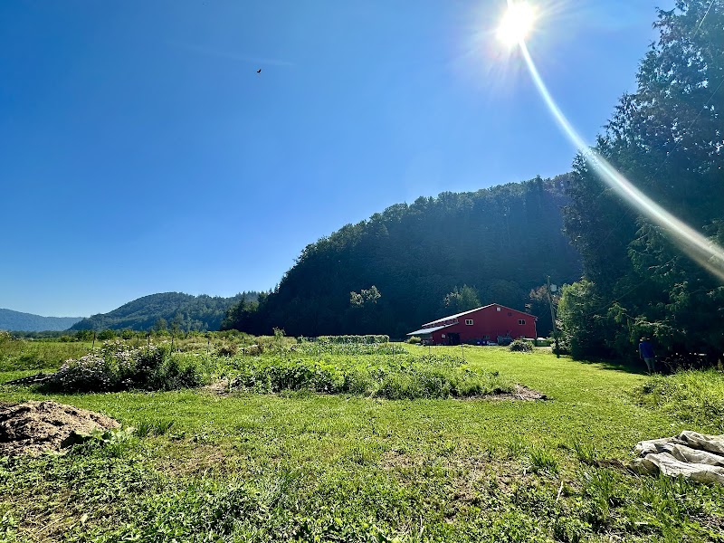 Abundance Community Farm 3