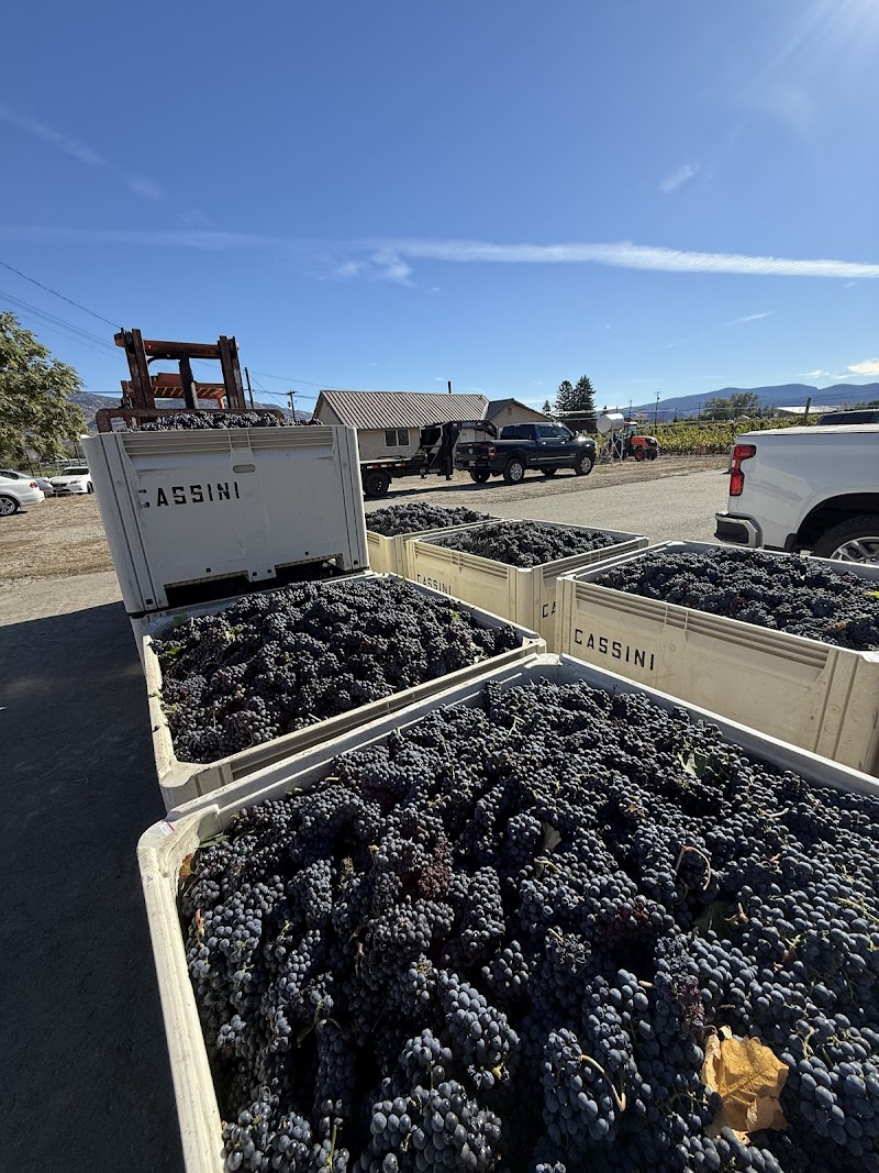 A&J Vineyards LTD 5