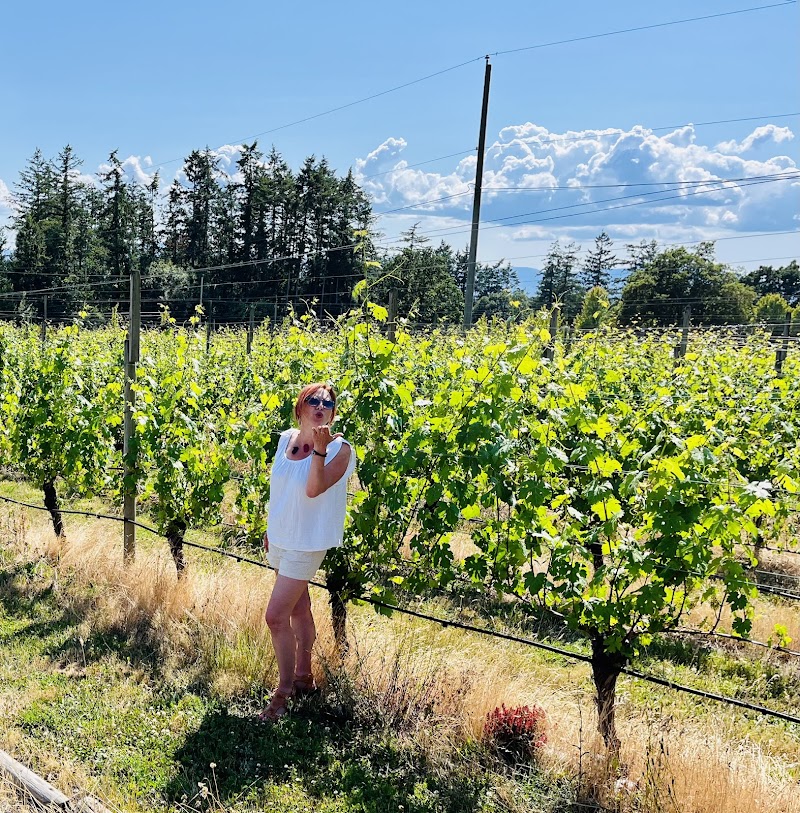 Alderlea Vineyards Winery 2