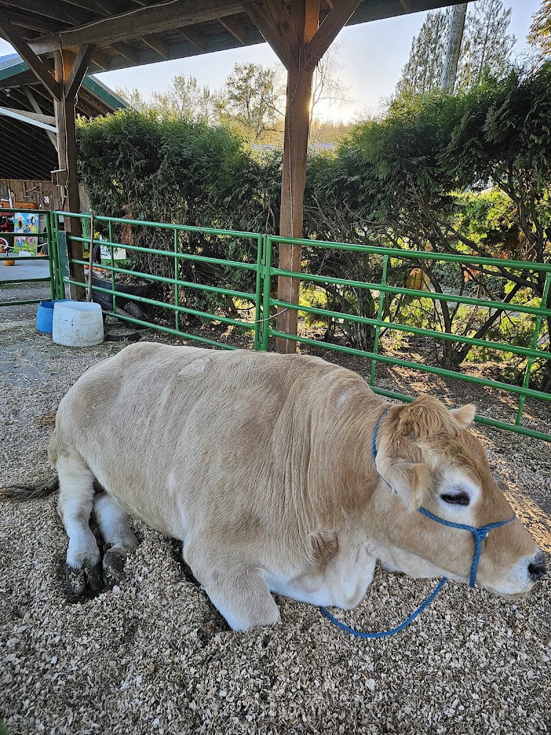 Aldor Acres Family Farm 4