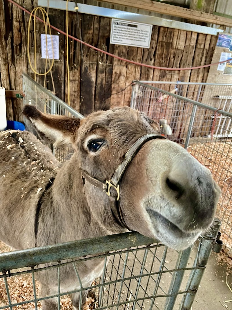 Aldor Acres Family Farm 5
