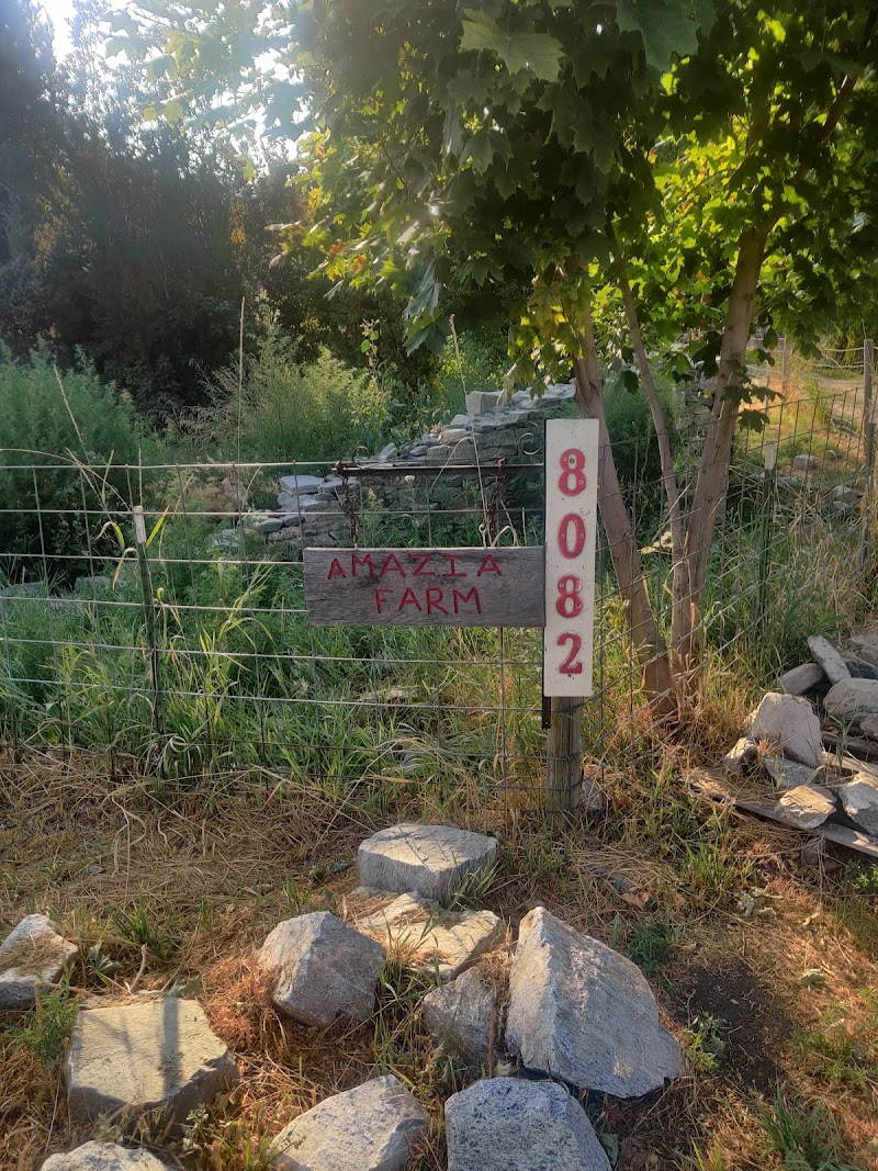 Amazia Farm