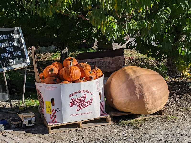 Apple Barn 3
