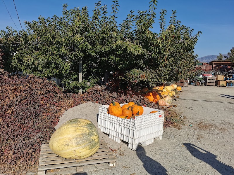 Apple Barn 5