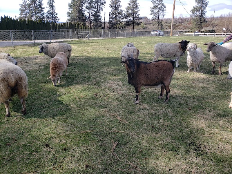 Arion Therapeutic Farm 2