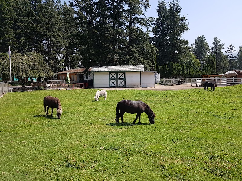 Arion Therapeutic Farm 3