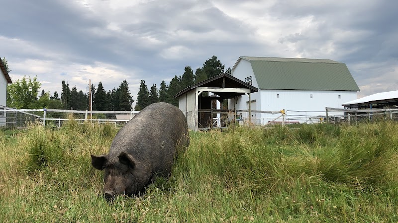 Arion Therapeutic Farm 5