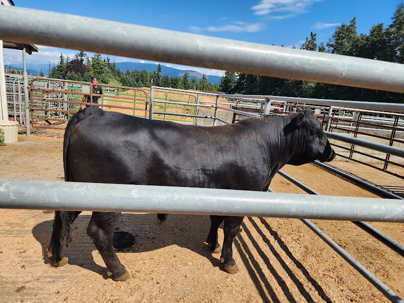 Aslam Farm 2