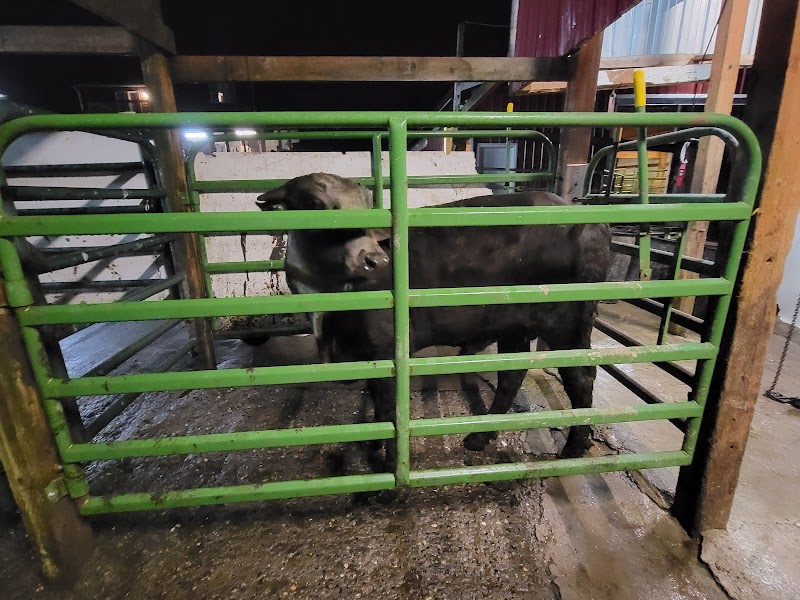Aslam Farm 5