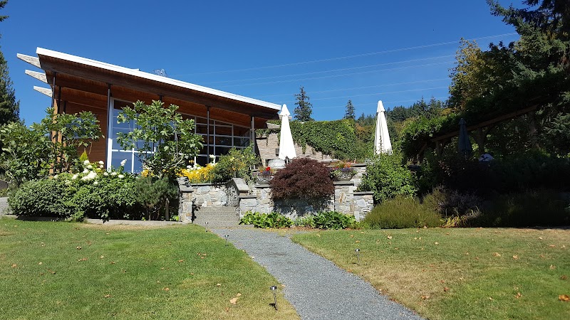 Averill Creek Vineyard 2
