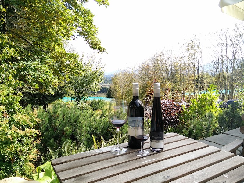 Averill Creek Vineyard 5