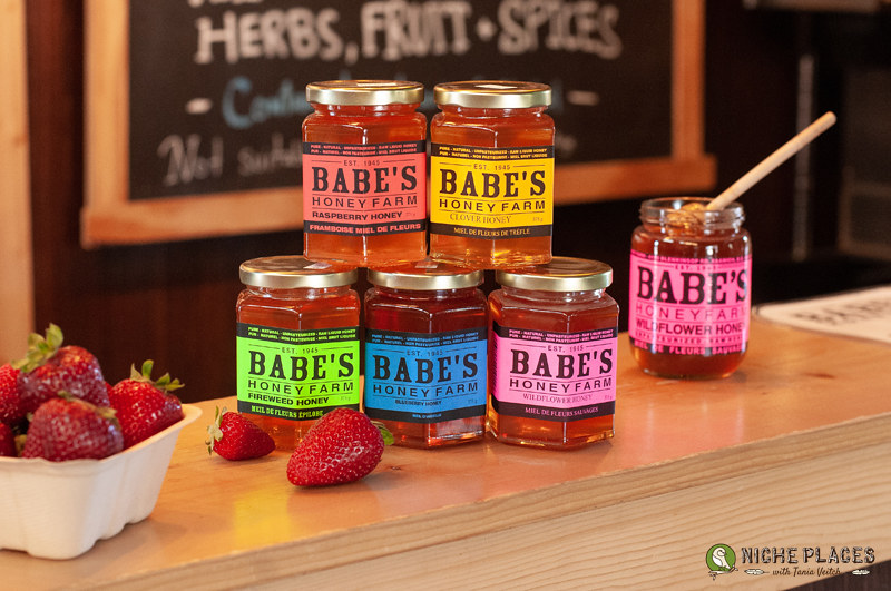 Babe's Honey Farm 2