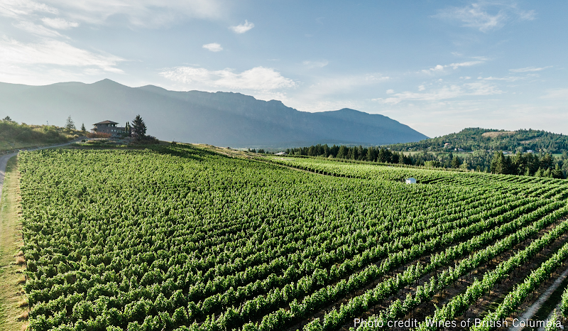 Baillie-Grohman Estate Winery 1