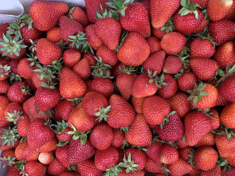 Bates Beach Farm 3