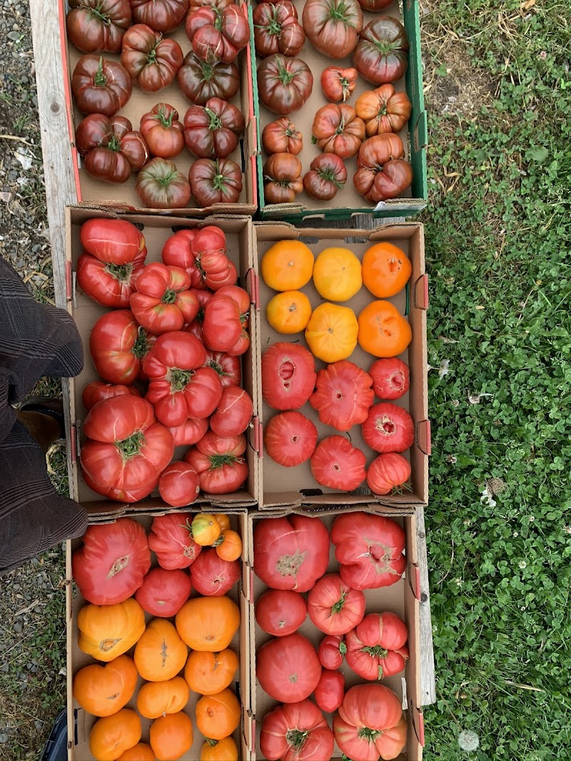 Bates Beach Farm 4