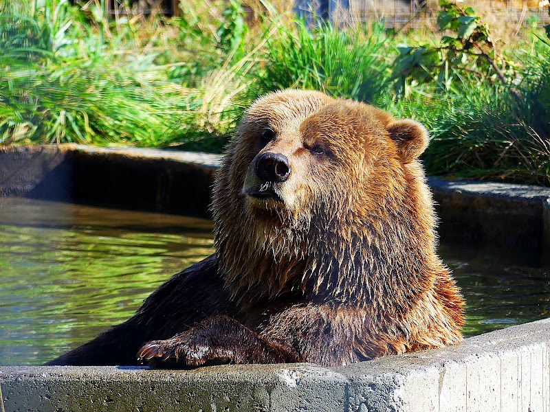 BC Wildlife Park 4