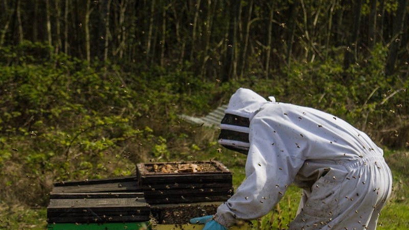 BCB Honey Farm
