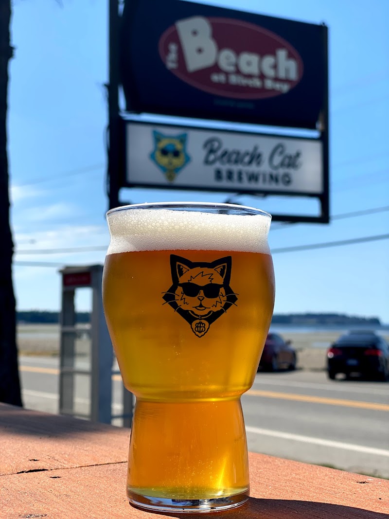 Beach Cat Brewing 3