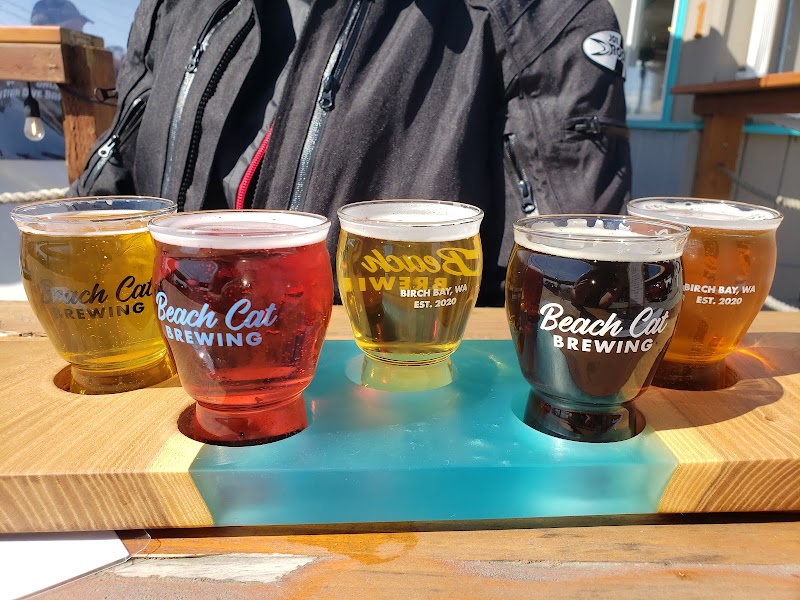Beach Cat Brewing 4