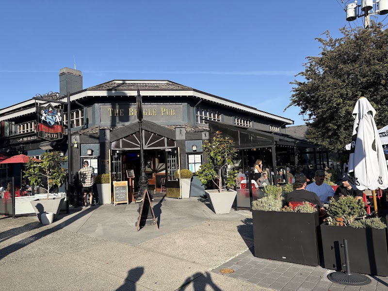 Beagle Pub 3
