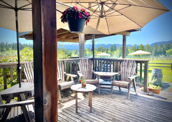 Beaufort Vineyard and Estate Winery 3