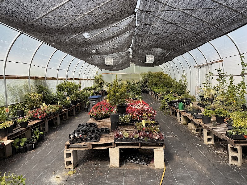 Ben's Farm & Garden Centre 5