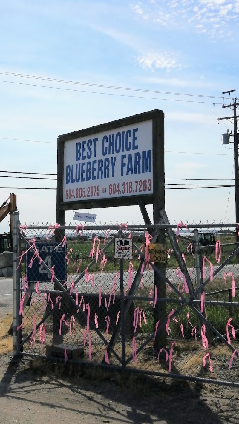 Best Choice BlueBerry Farm 5