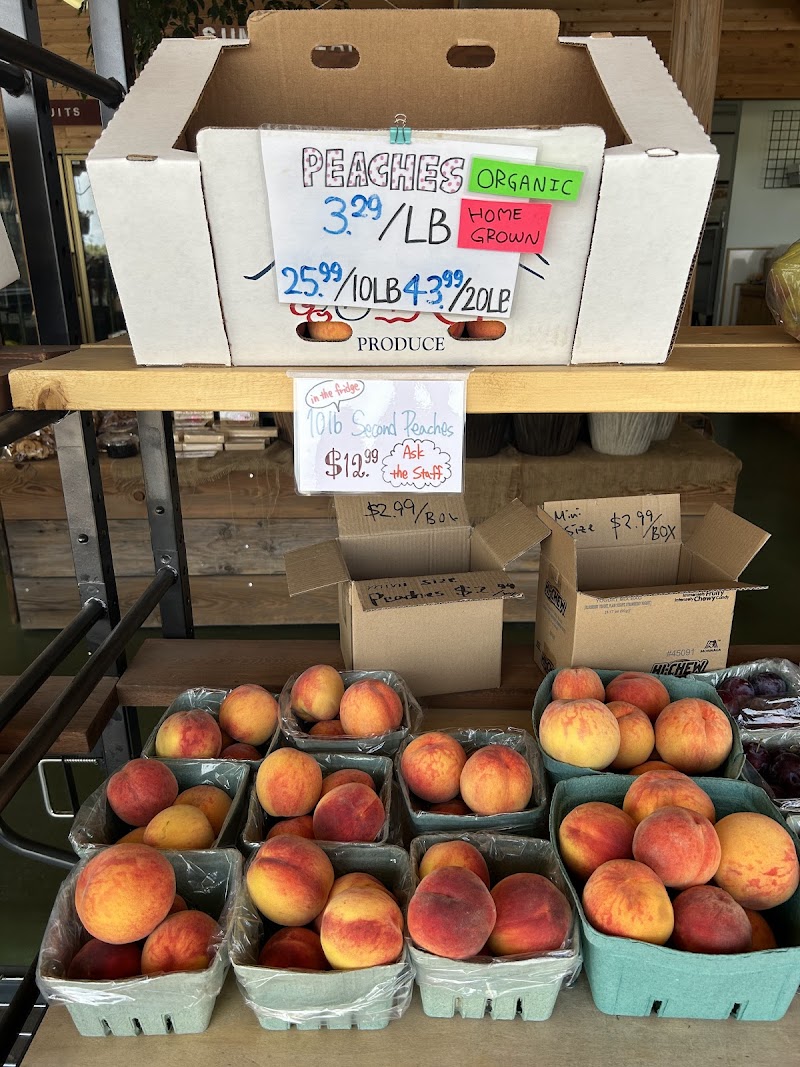 Big Apple Fruit Stand with Organic Orchard 4