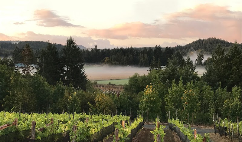 Blue Grouse Estate Winery 3