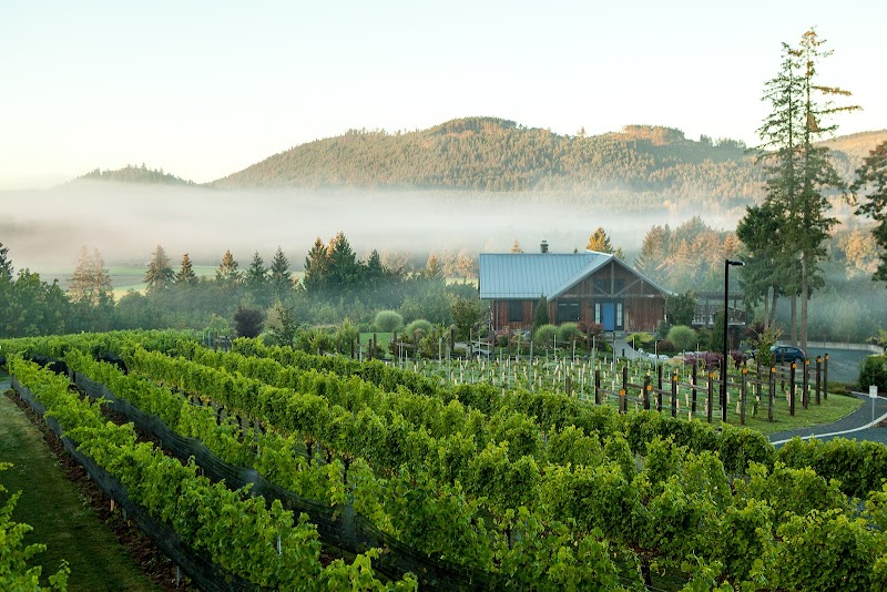 Blue Grouse Estate Winery 5