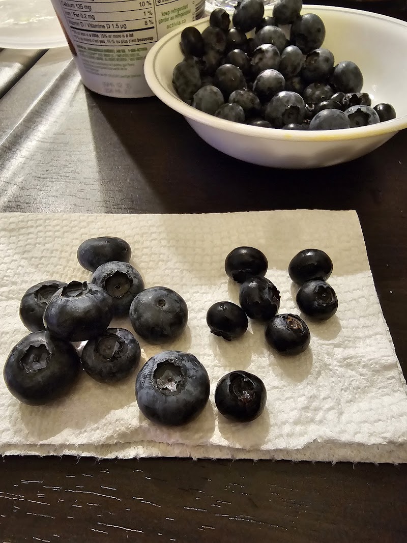 Blueberry Junction 2