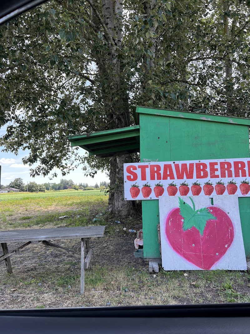 Bob Featherstone Strawberries