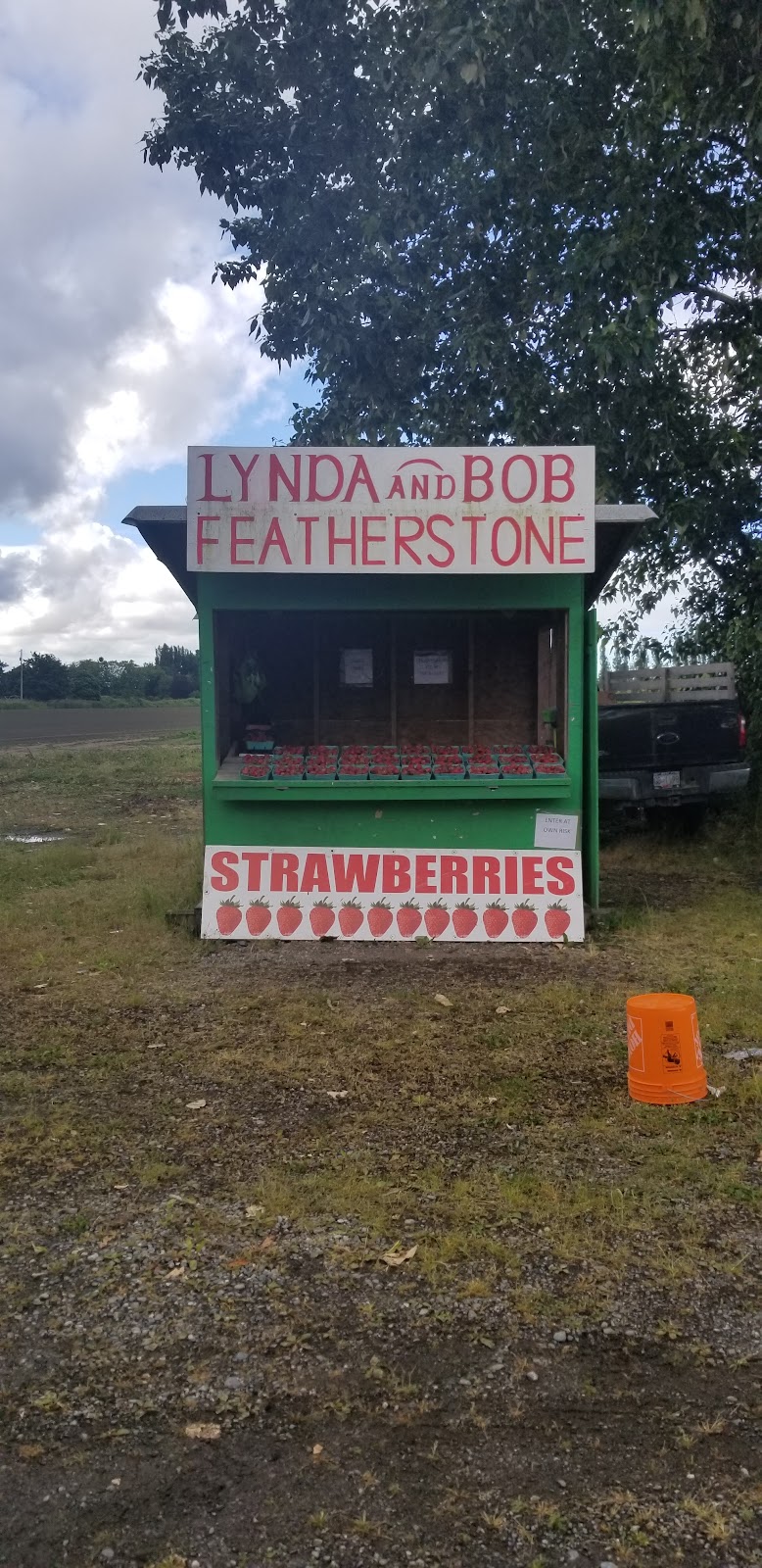 Bob Featherstone Strawberries 2