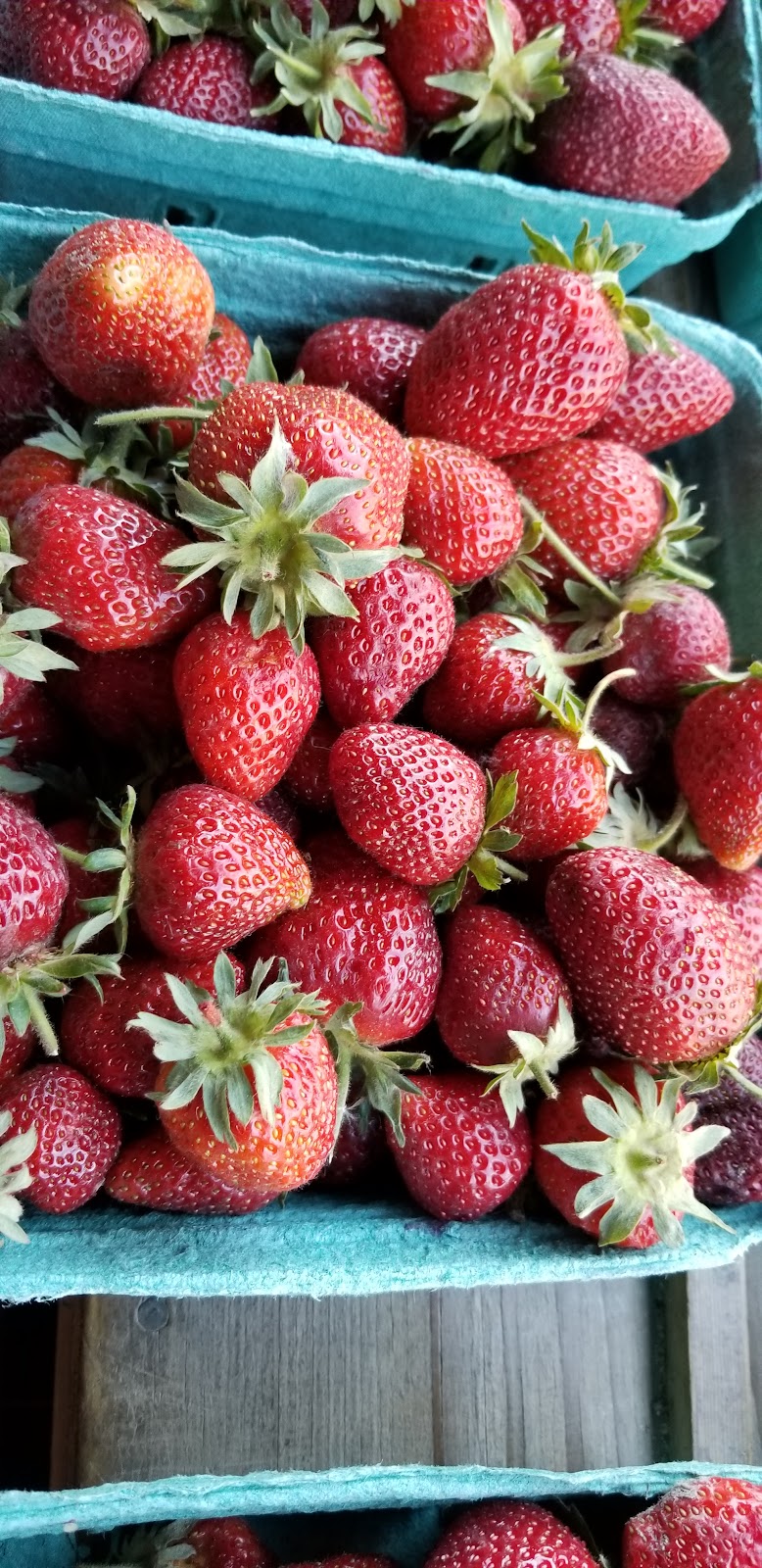 Bob Featherstone Strawberries 3