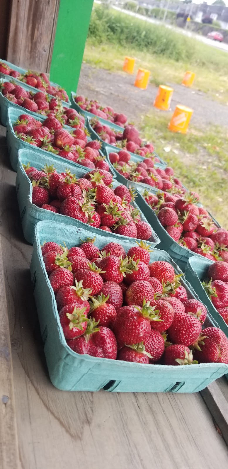 Bob Featherstone Strawberries 4