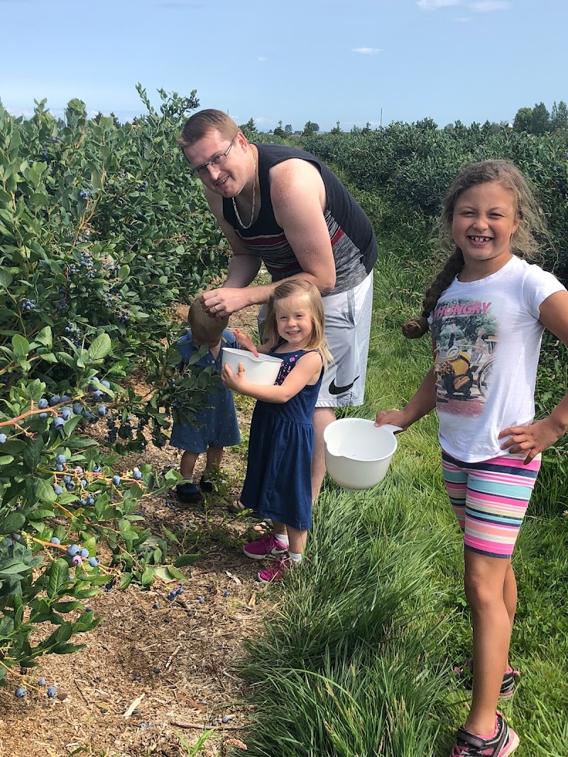 Bode Family Farms 3