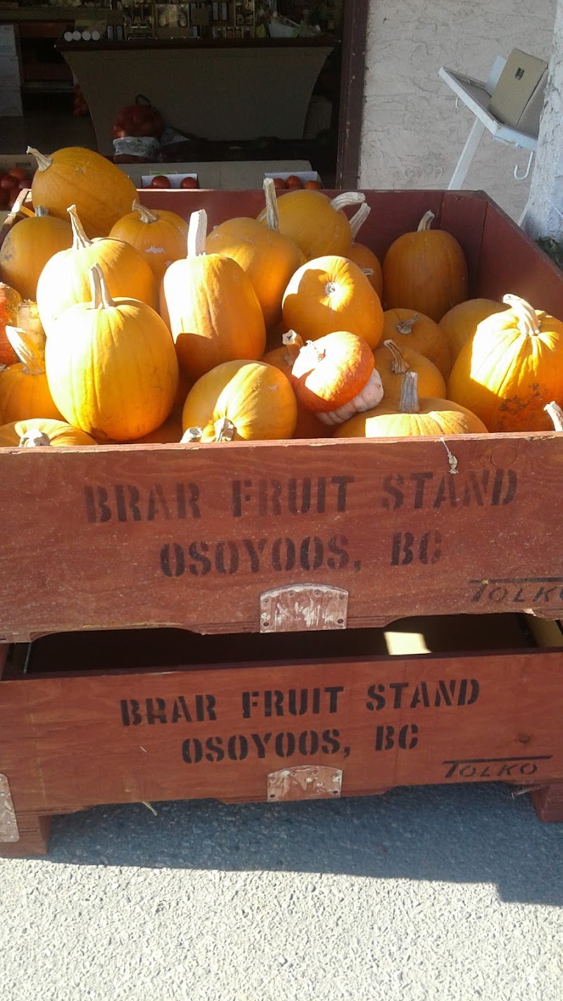 Brar Fruit Stand & Orchards 3
