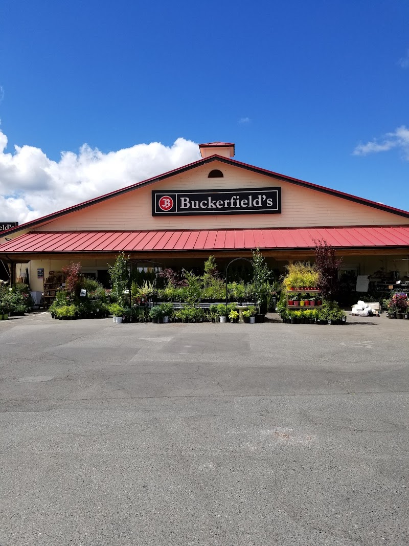 Buckerfield's
