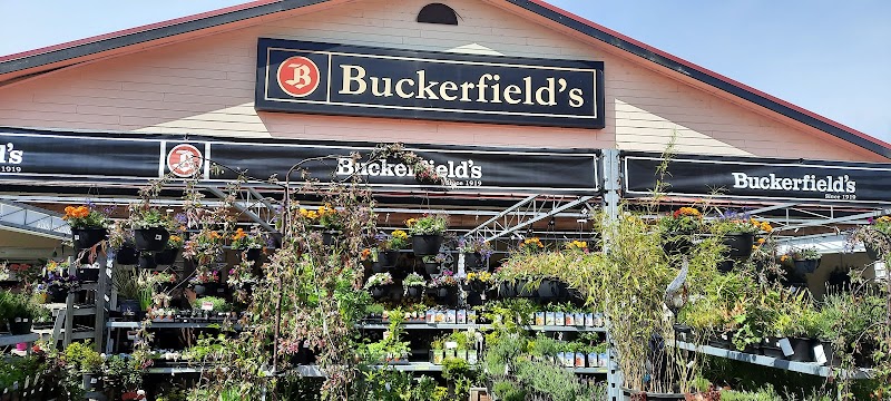 Buckerfield's 4