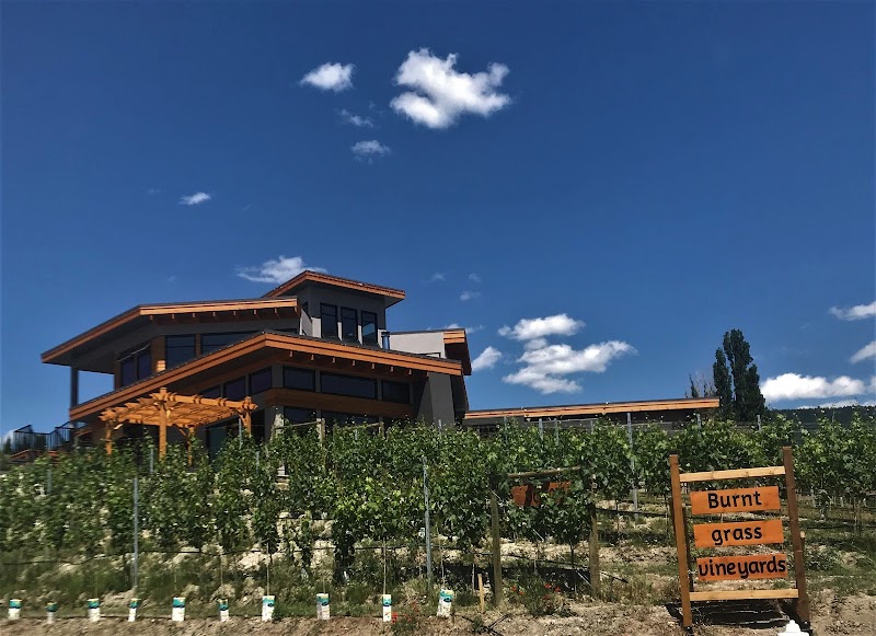 Burnt Grass Vineyards 3