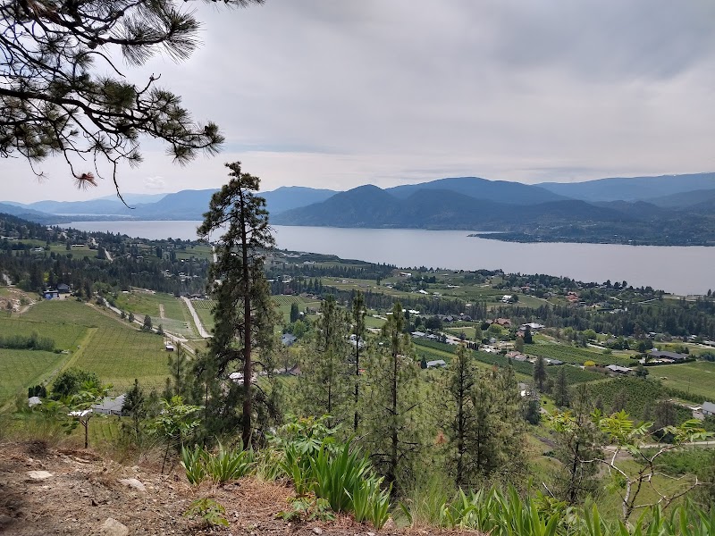 Burnt Grass Vineyards 4