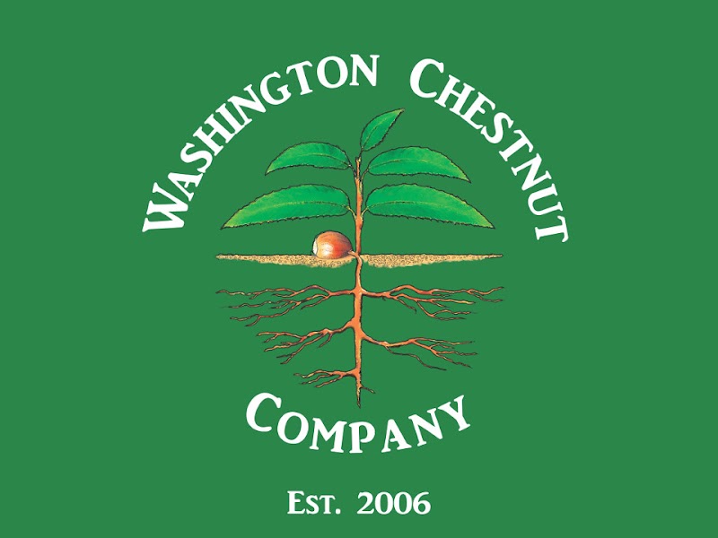 Buy Fresh Chestnuts 2