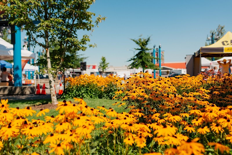 Campbell River Farmers Market 4