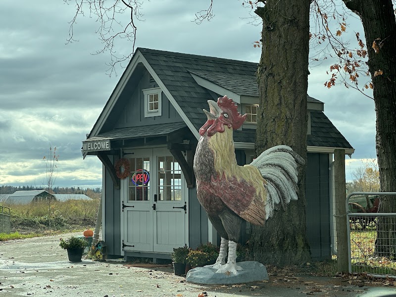 Campbell valley organic farms 3