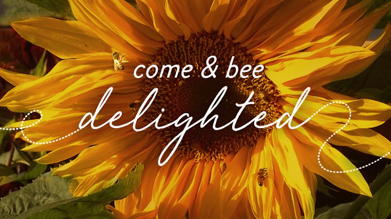 Campbell’s Gold Honey Farm and Meadery