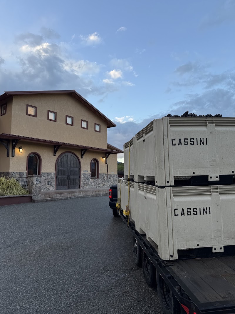 Cassini Cellars 3