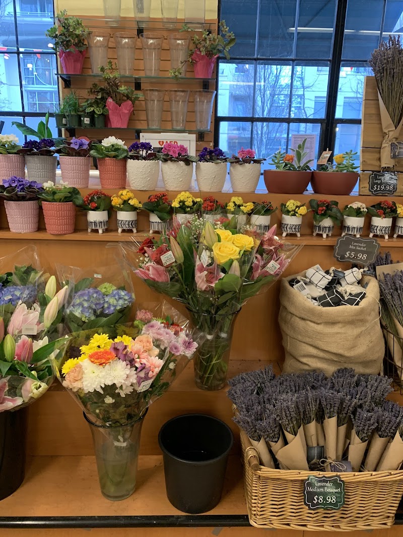 Choices Markets 3